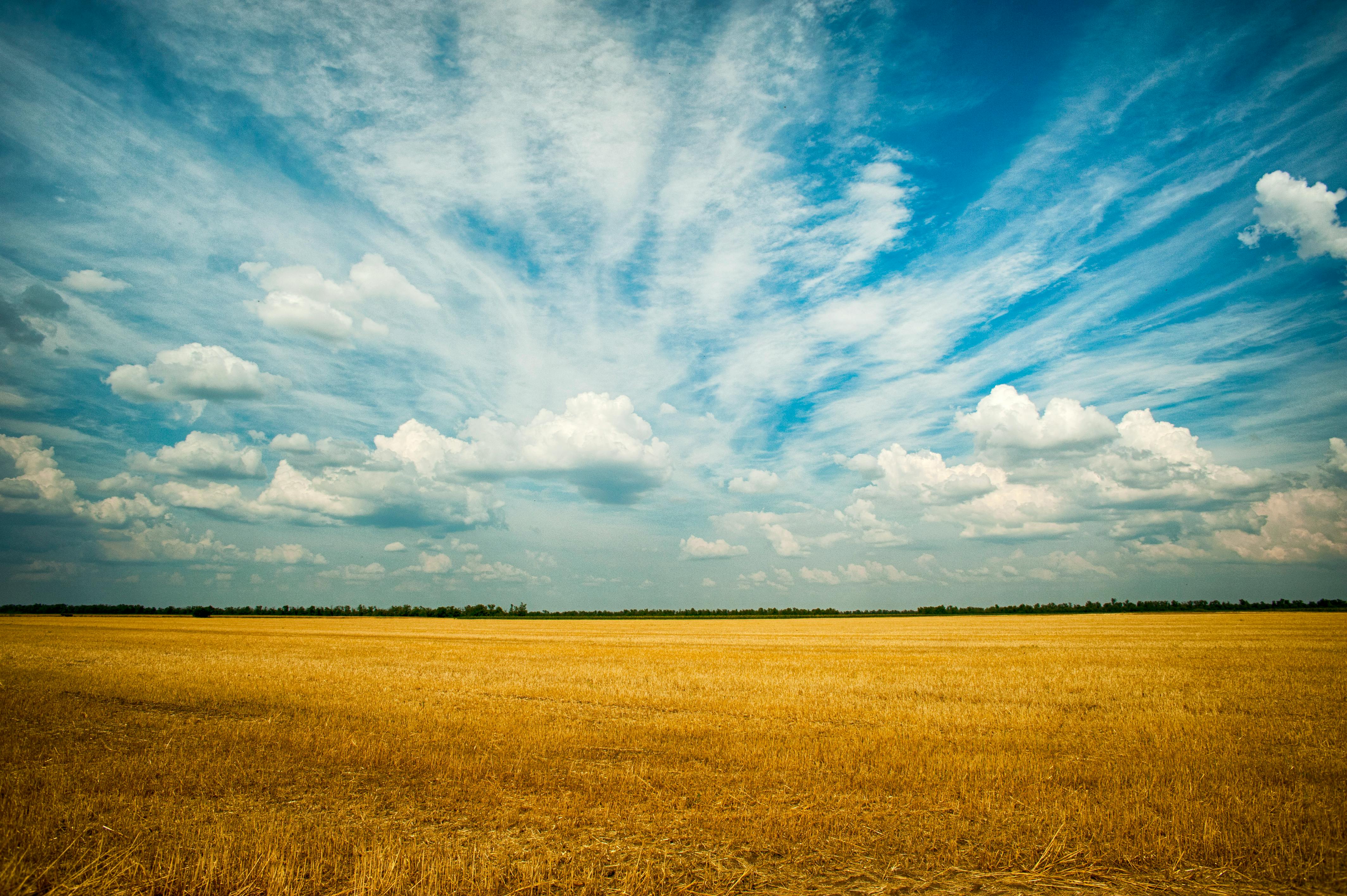 image of farmer