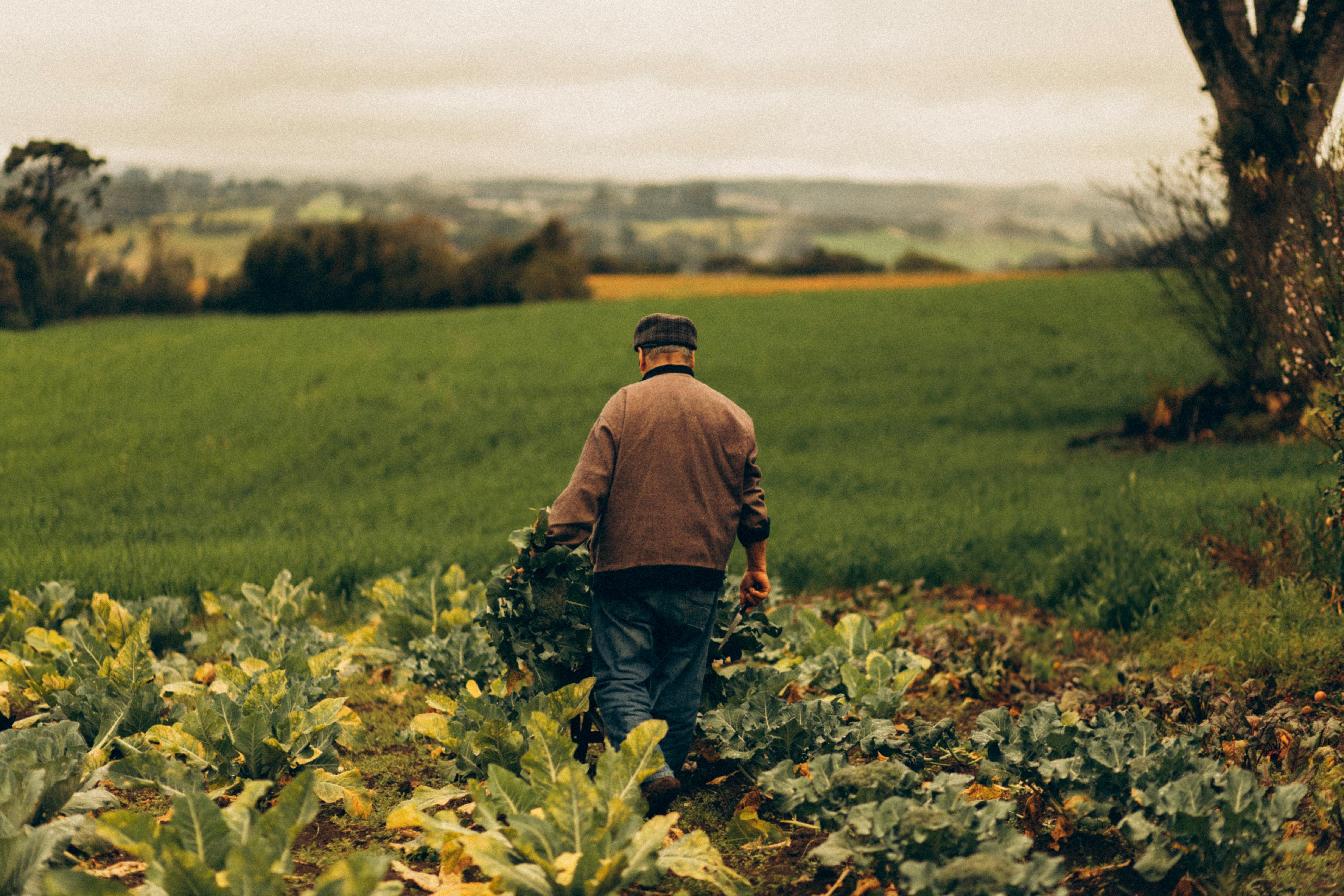 image of farmer
