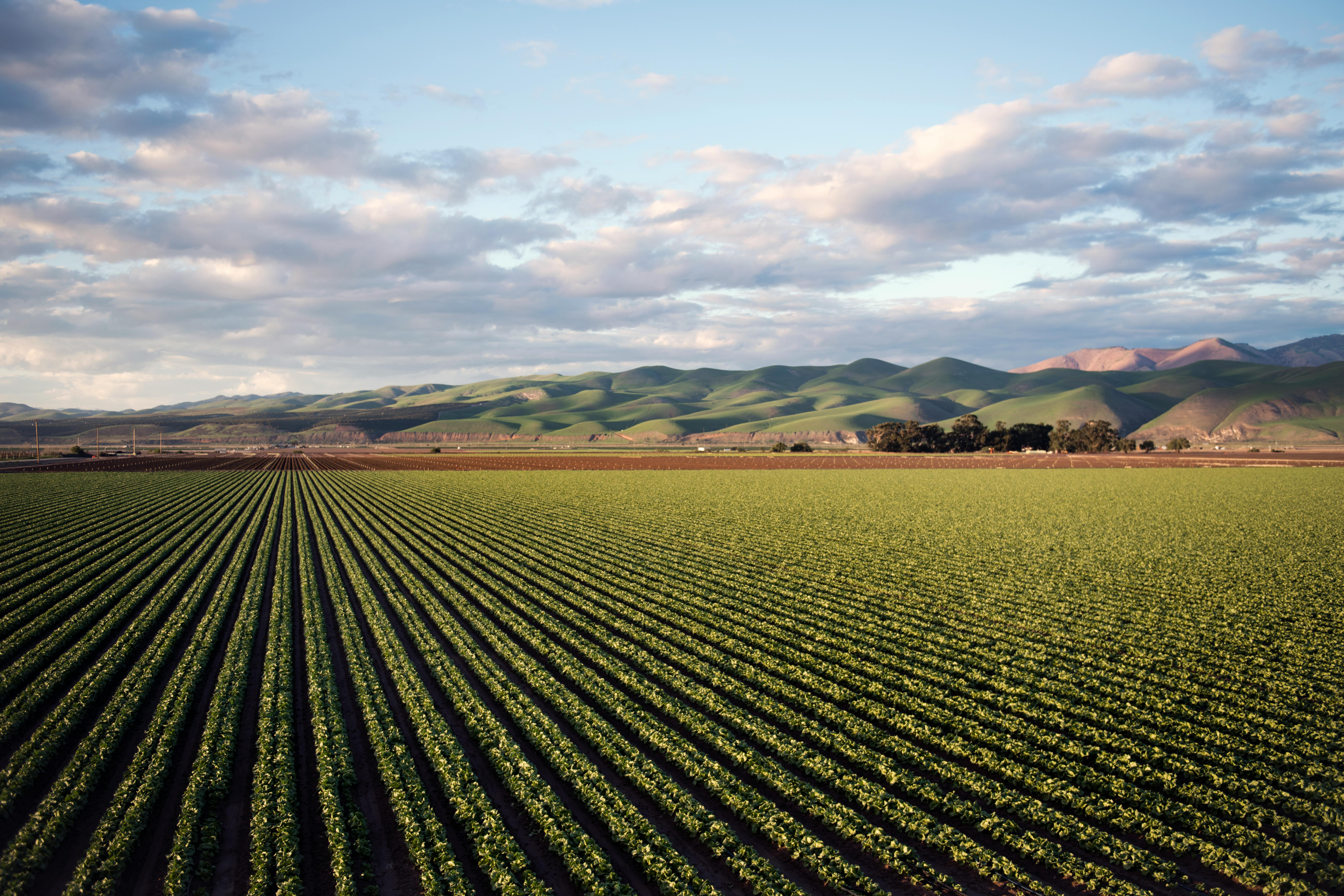 image of farmer